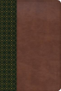 Biblia De Estudio Scofield Verde Oscuro Castaño