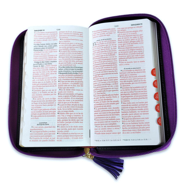 Bibllia RVR60/ Chequera Lila-Gris/ Cierre Indice
