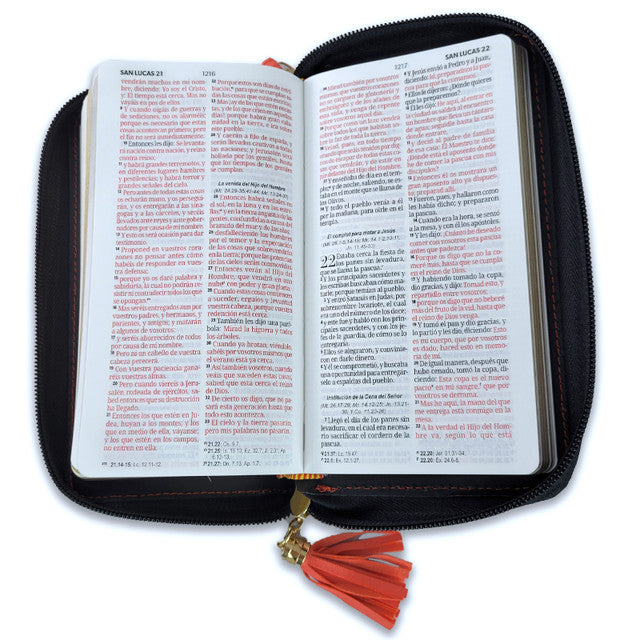Biblia  RVR60  Chequera Horizonte Coral / Gris/ Cierre