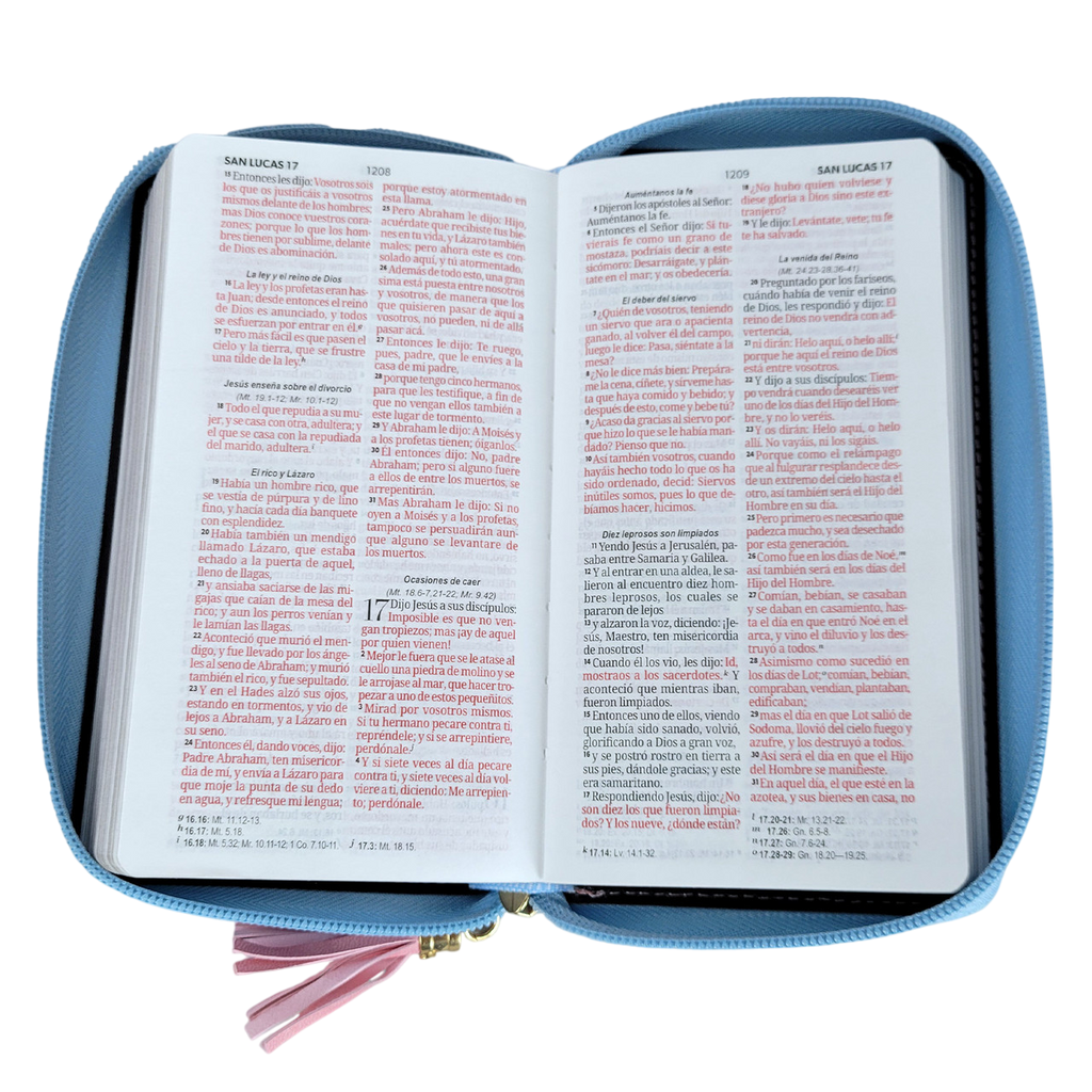 Biblia RVR60 Chequera Horizonte Azul/Rosa/Indice