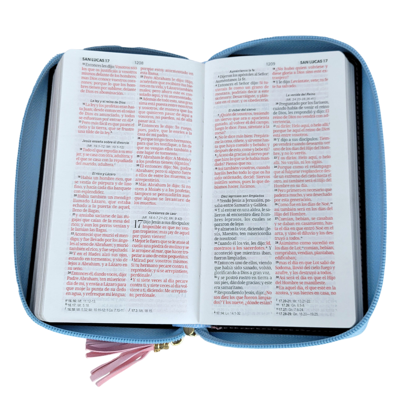 Biblia RVR60 Chequera Horizonte Azul/Rosa/Indice