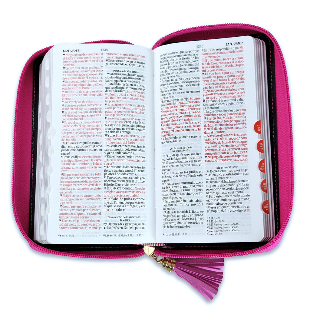 Bibllia RVR60/ Chequera Rosa-Fucsia-Gris/ Cierre Indice