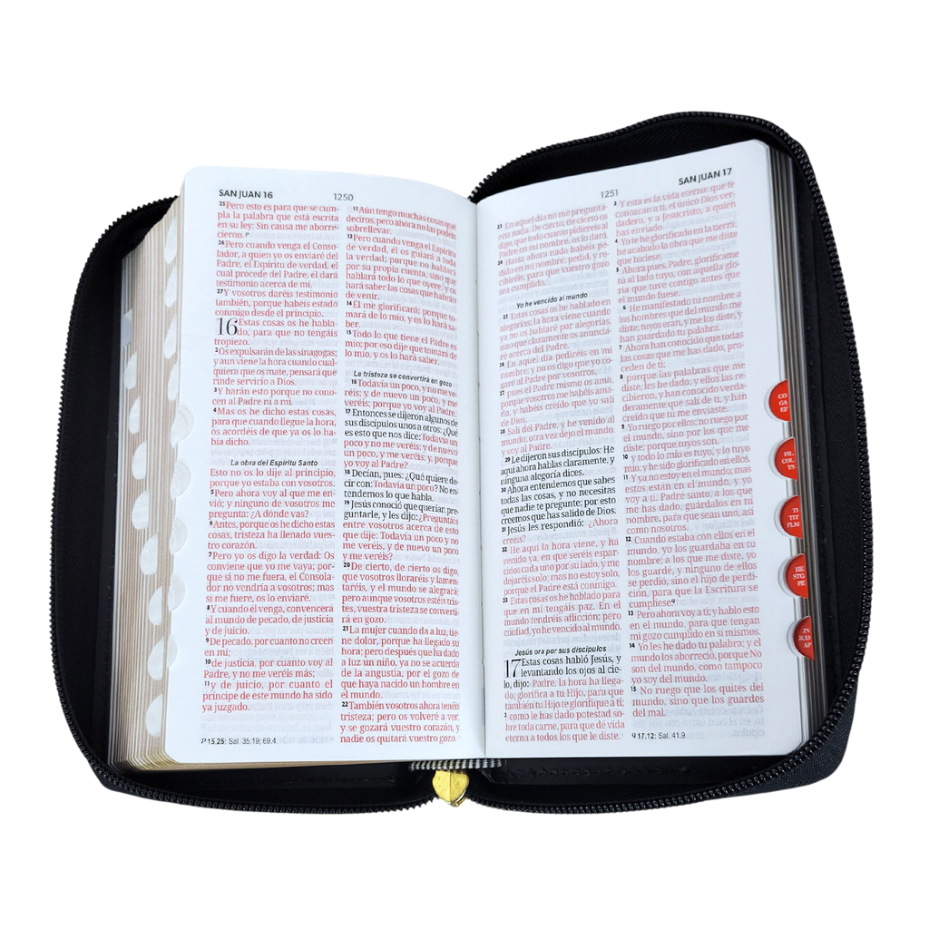Bibllia RVR60/ Chequera Negro/Beige/ Cierre Indice