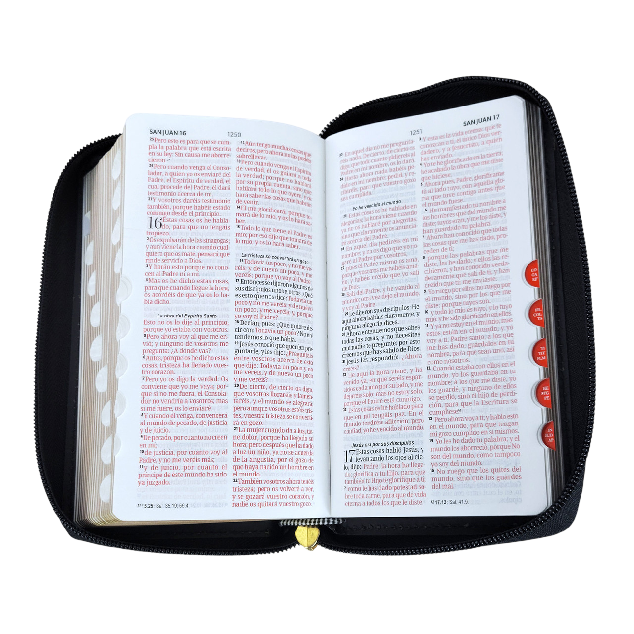 Bibllia RVR60/ Chequera Negro/Beige/ Cierre Indice