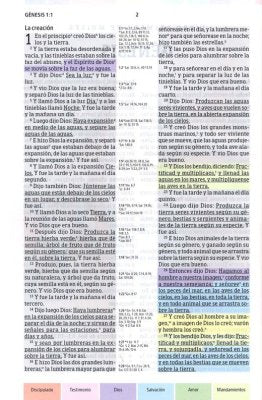 Biblia De Estudio/Arcoiris