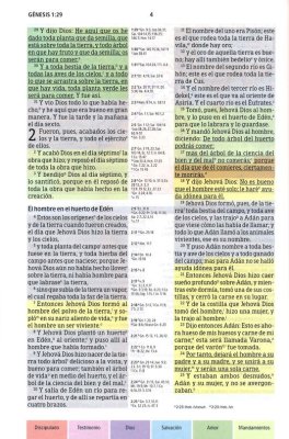 Biblia De Estudio/Arcoiris/Multicolor/Tapa Dura/Nueva