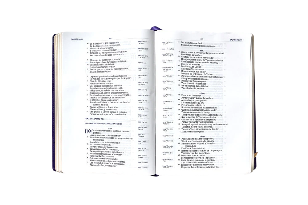 Biblia Estudio Inductivo NBLA/ Purpura Piel Italiana