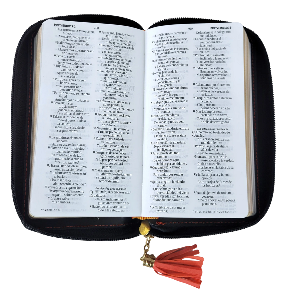 Biblia Chequera para Mujeres RVR60 con Lazo y Agarradera