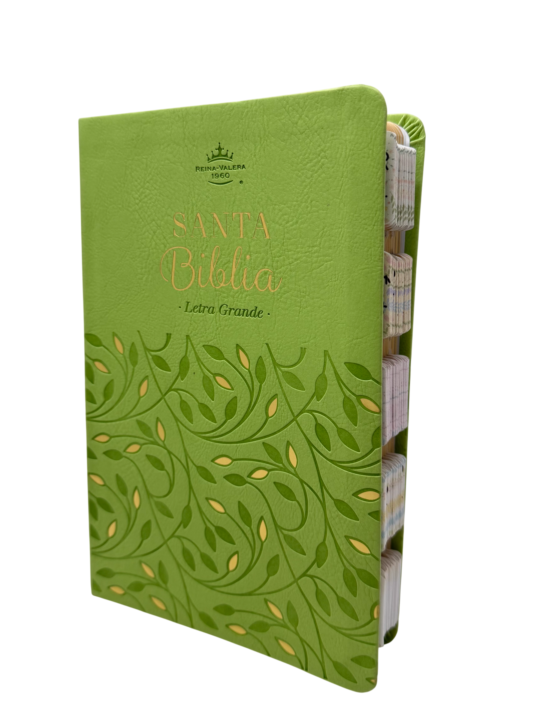 Biblia Reina Valera 1960, Verde Olivo, Canto de Color