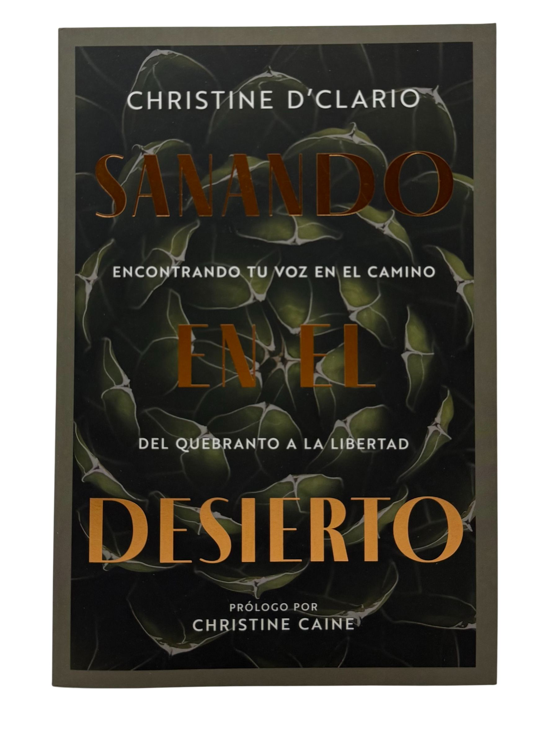 Sanando en el desierto: Encontrando tu voz en el camino del quebranto a la libertad