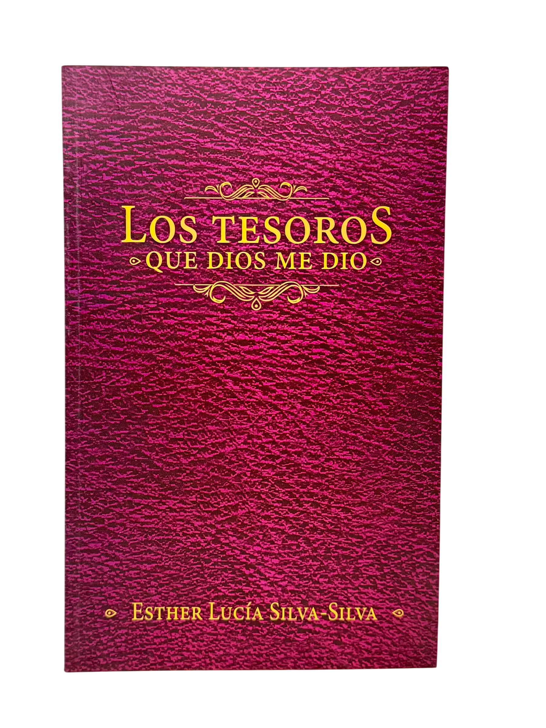 Los Tesoros Que Dios Me Dio