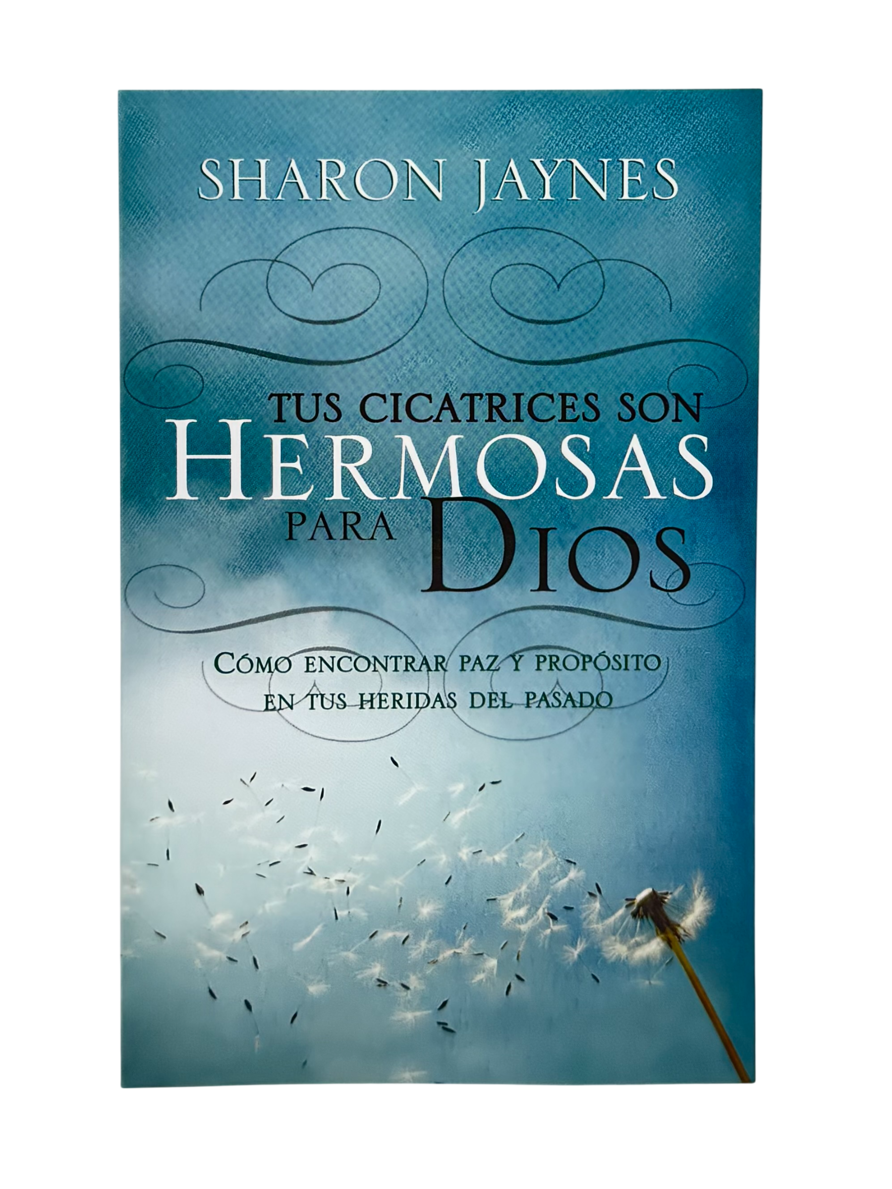Tus cicatrices son hermosas para Dios