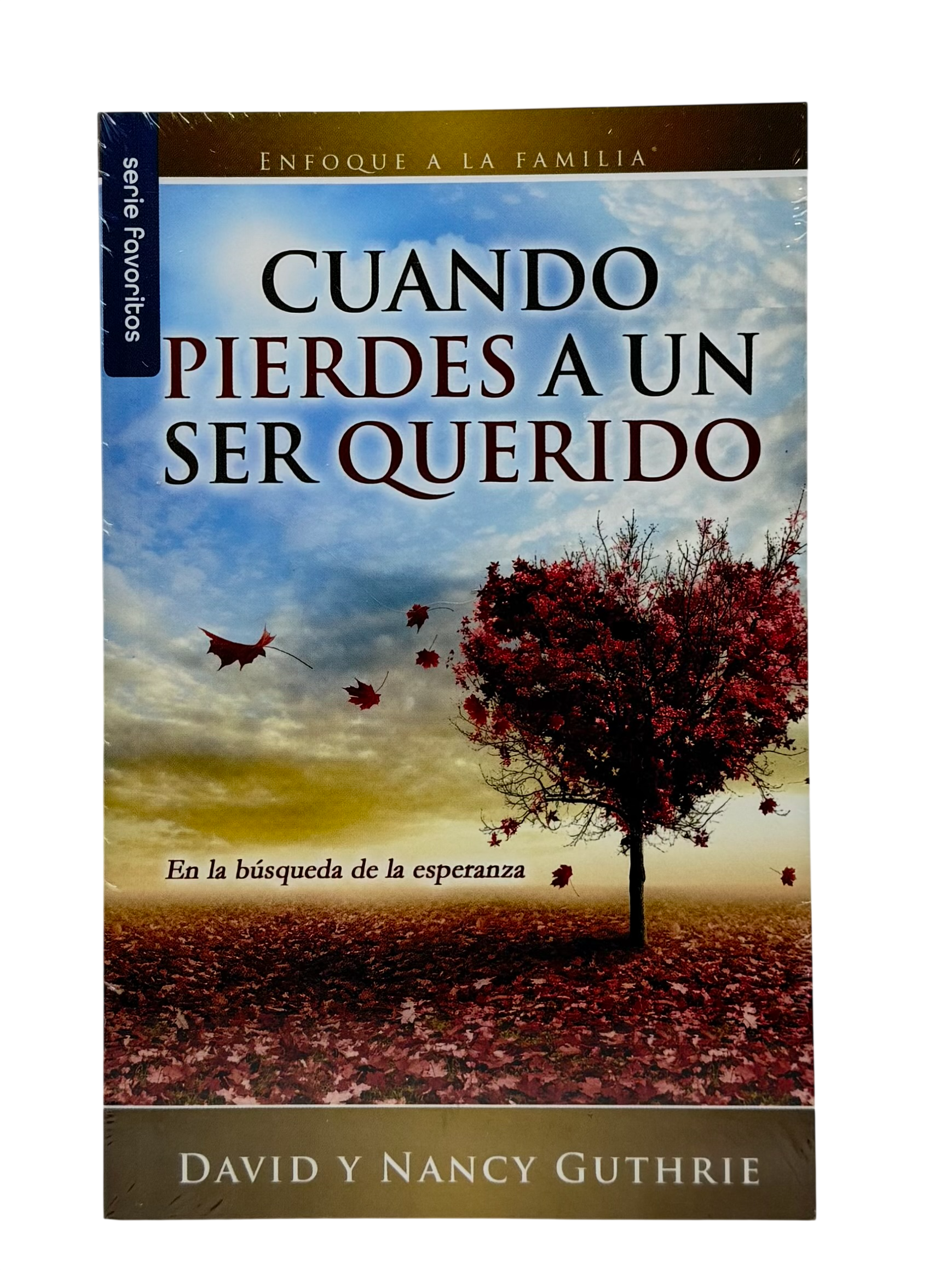 Cuando pierdes a un ser querido  En la búsqueda de la esperanza