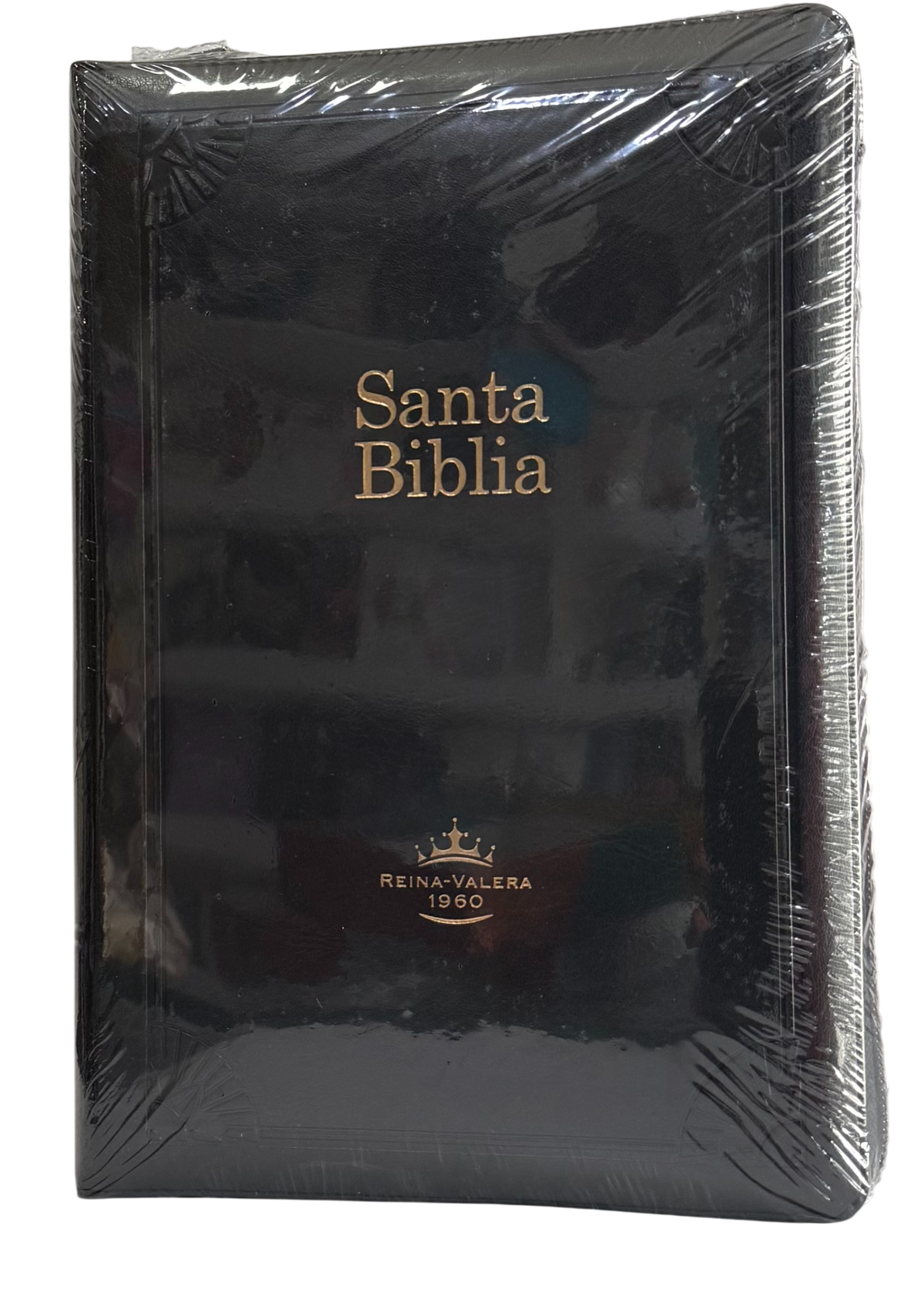 Biblia De Estudio/Arcoiris