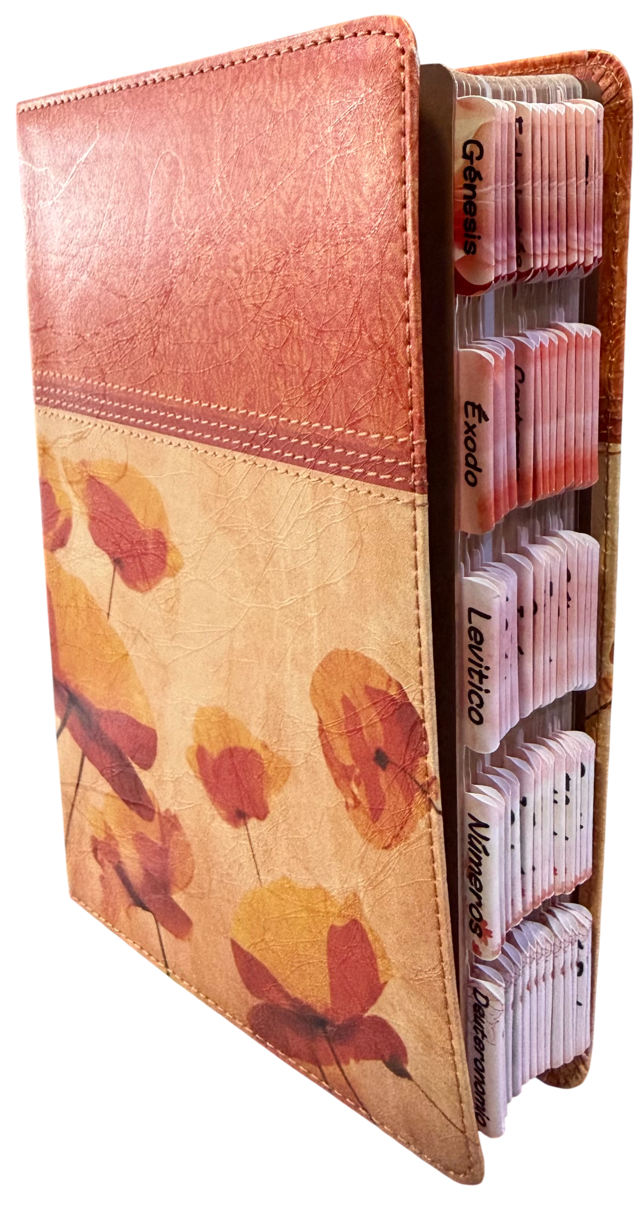 RVR 1960 Biblia Letra Grande Tamaño Manual con Referencias