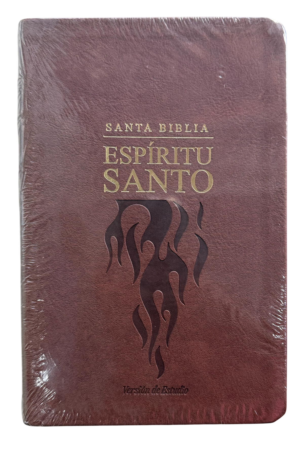Biblia del Espíritu Santo con canto Dorado