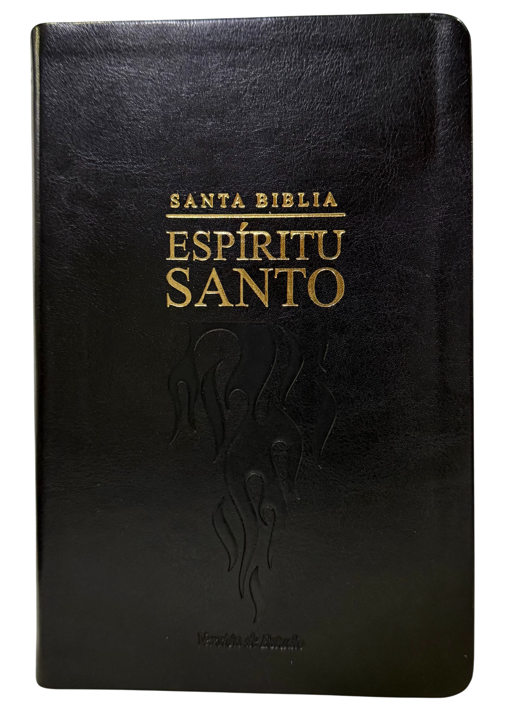 Biblia del Espíritu Santo con canto Dorado
