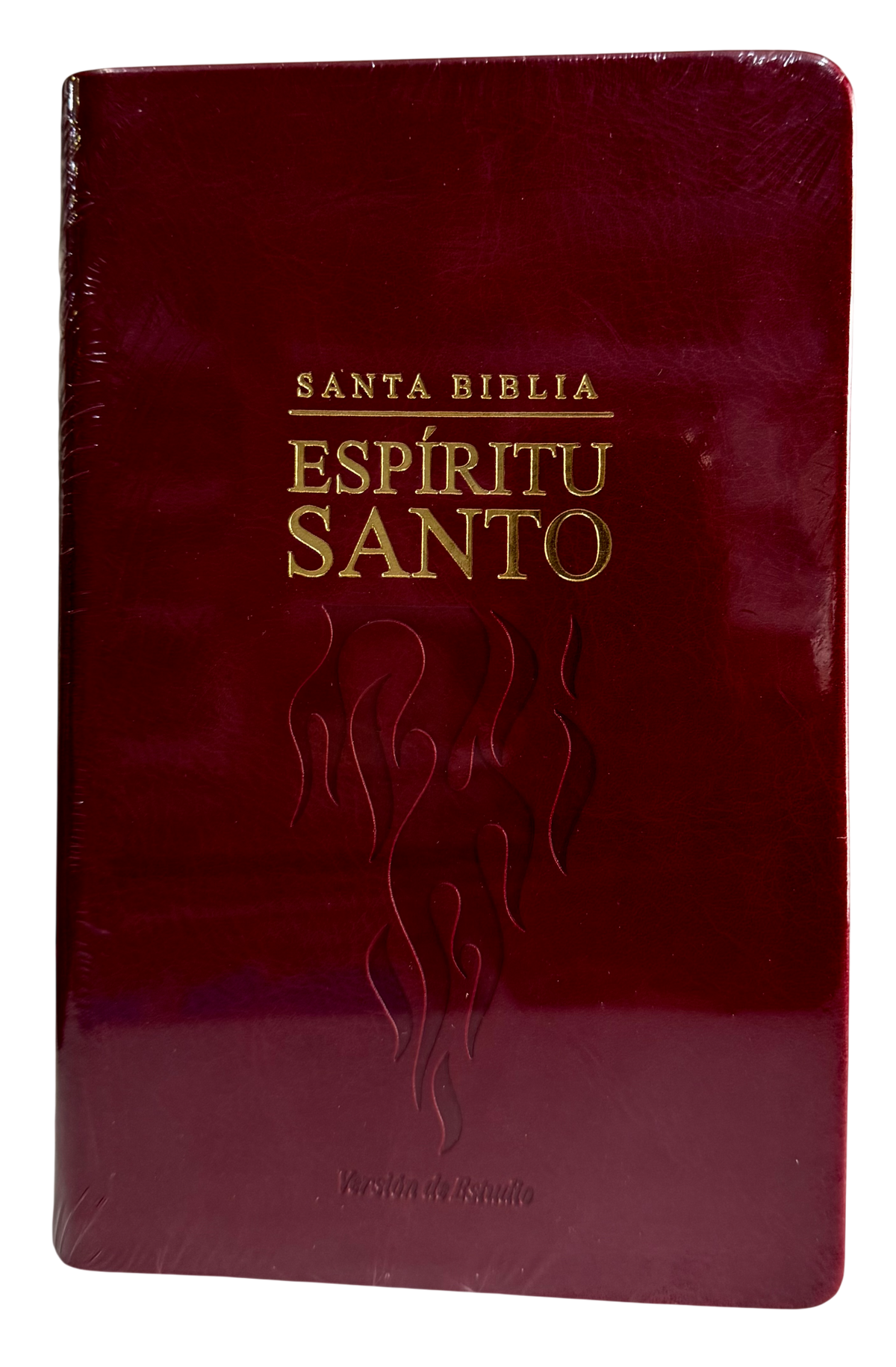 Biblia del Espíritu Santo con canto Dorado