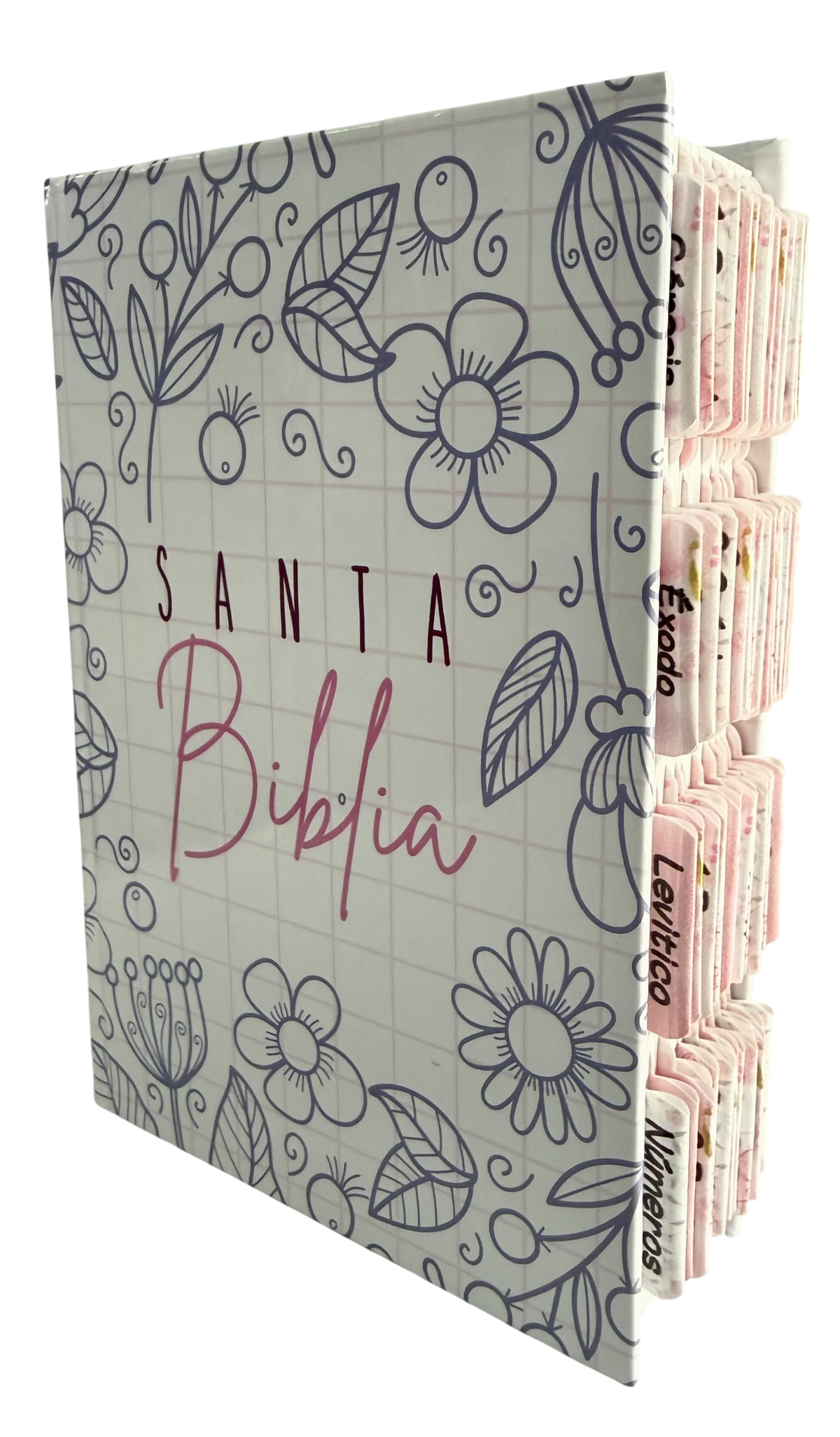 Biblia RVR60 Mediana letra grande/ con pestañas