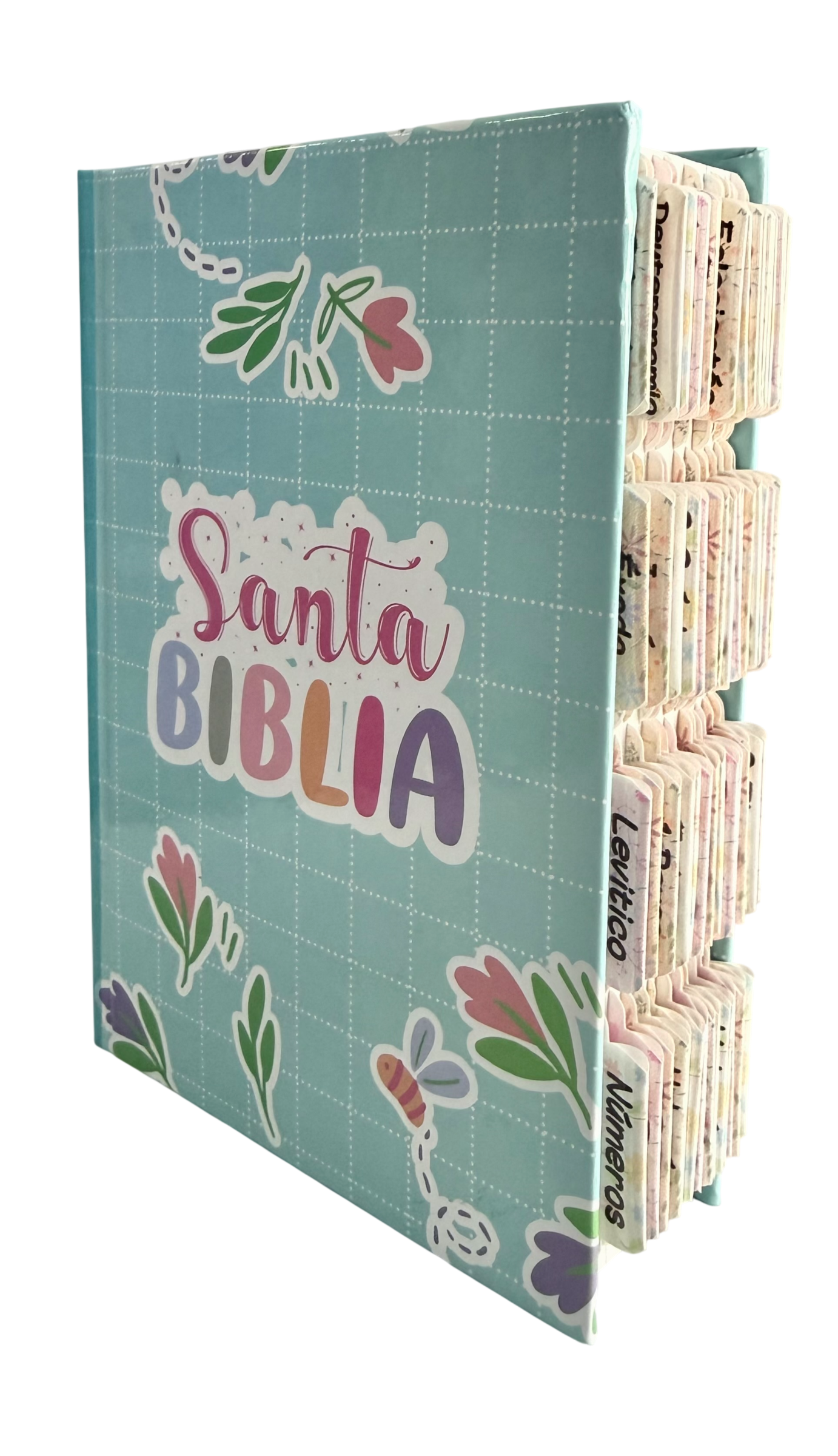 Biblia RVR60 Mediana letra grande/ con pestañas