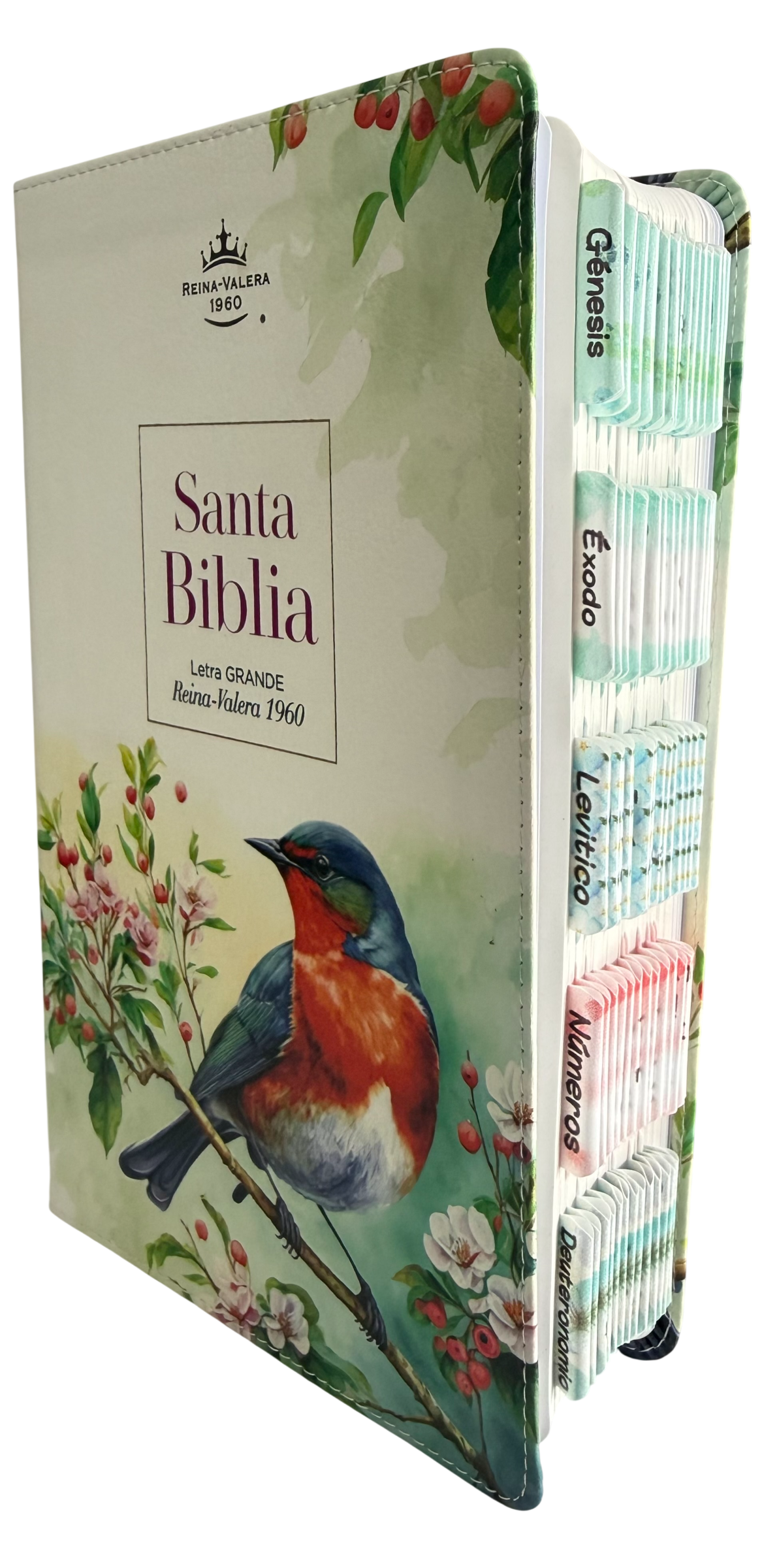 Biblia RVR60 Letra Grande Manual Diseño Vintage Pájaro Imitación Piel