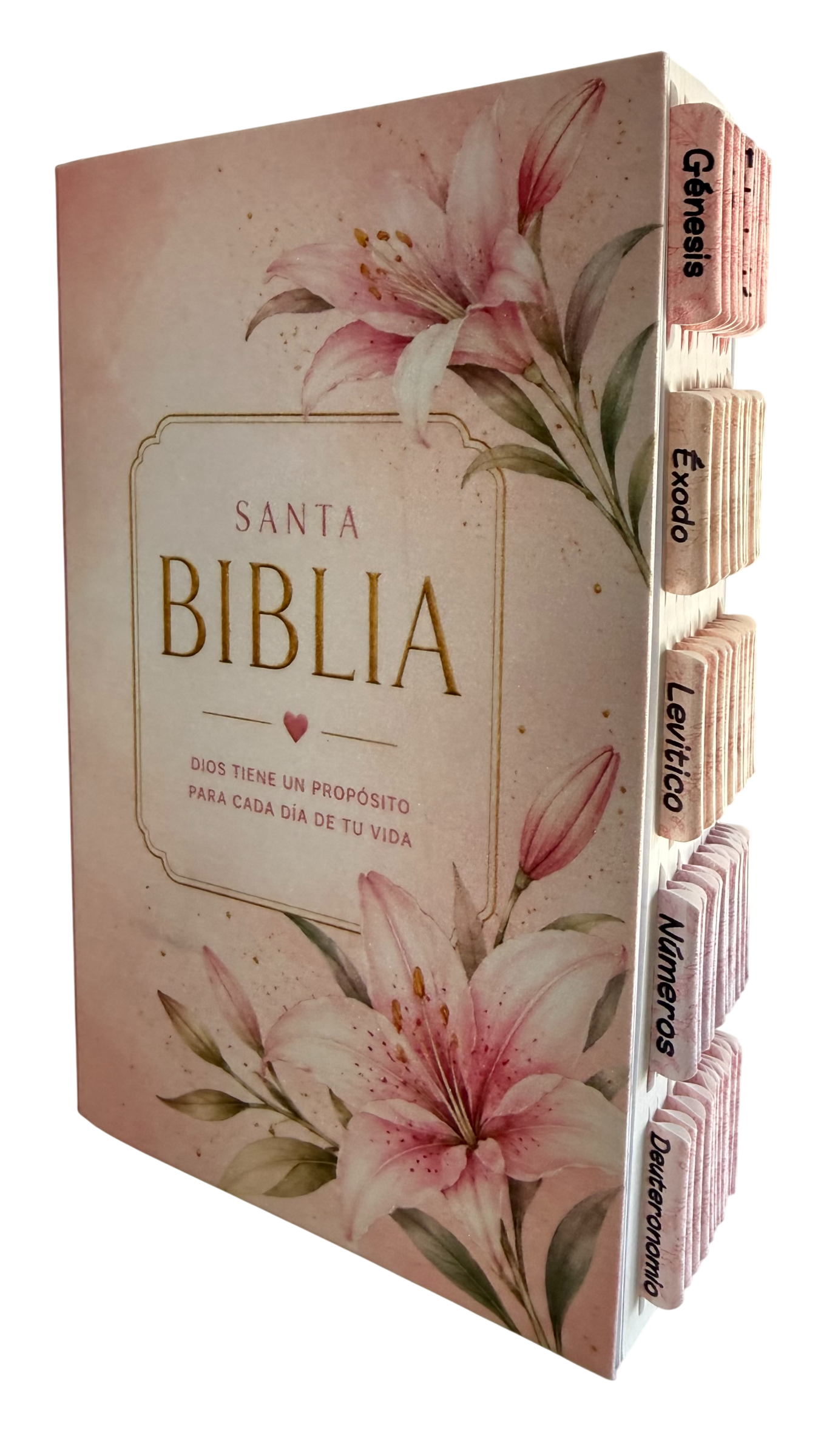 Biblia PDT Personalizadas/ Escarchadas