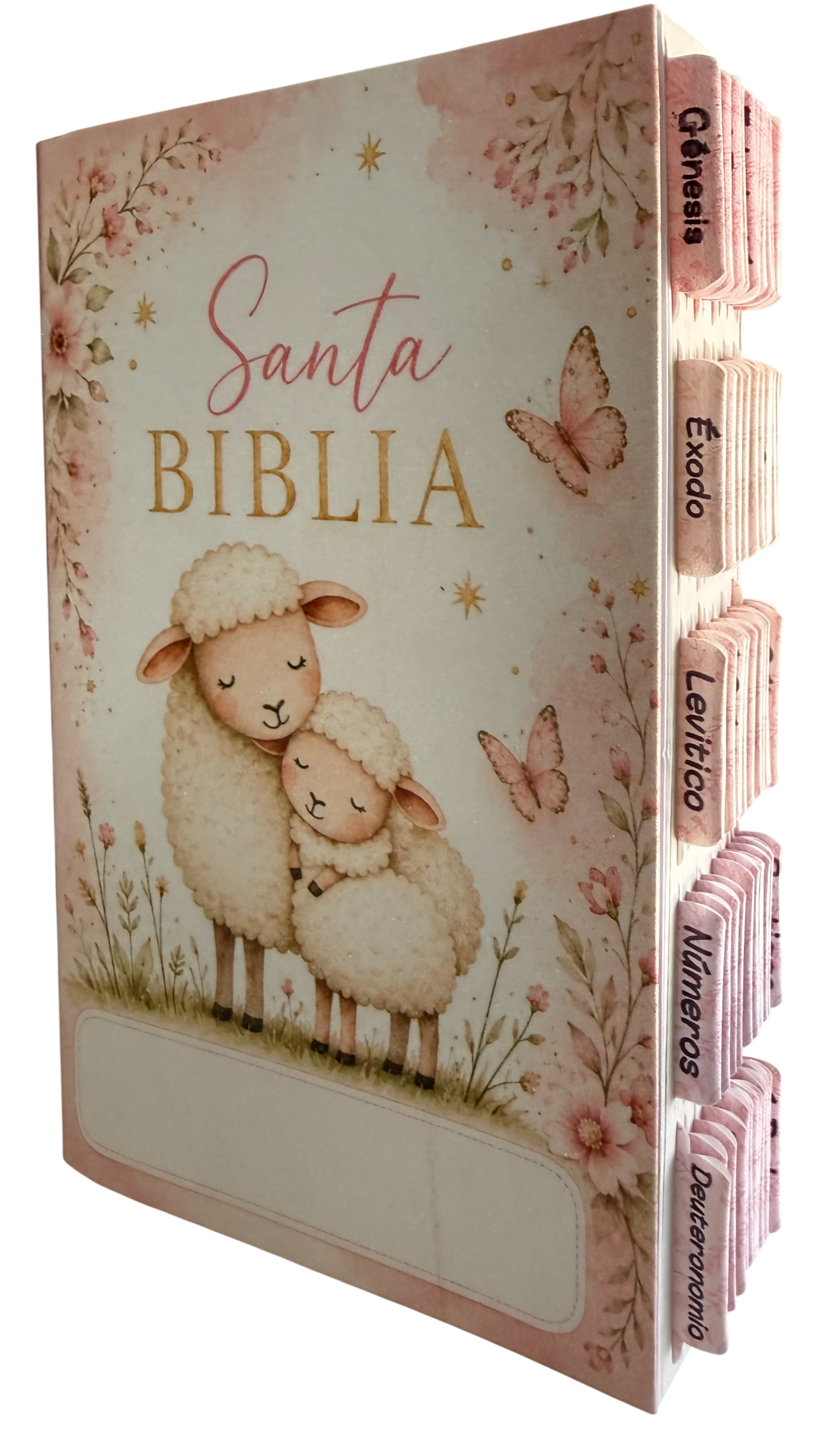 Biblia PDT Personalizadas/ Escarchadas