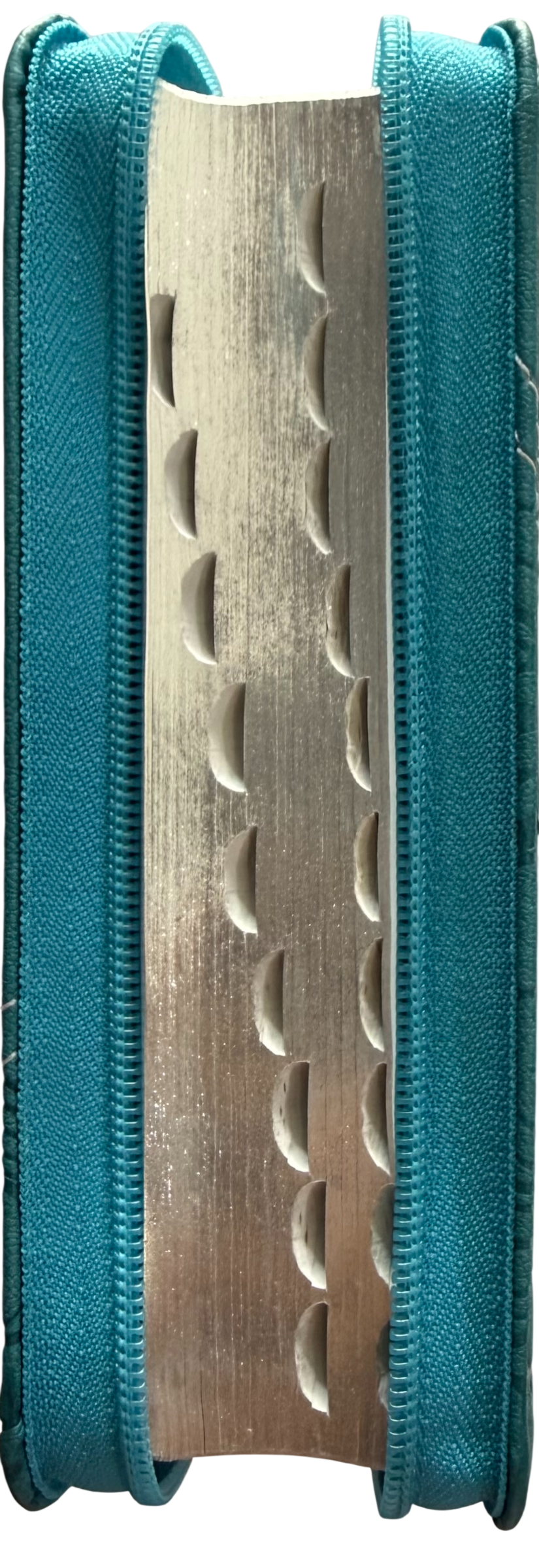 Biblia RVR60 Azul Claro / Aguamarina / Indice
