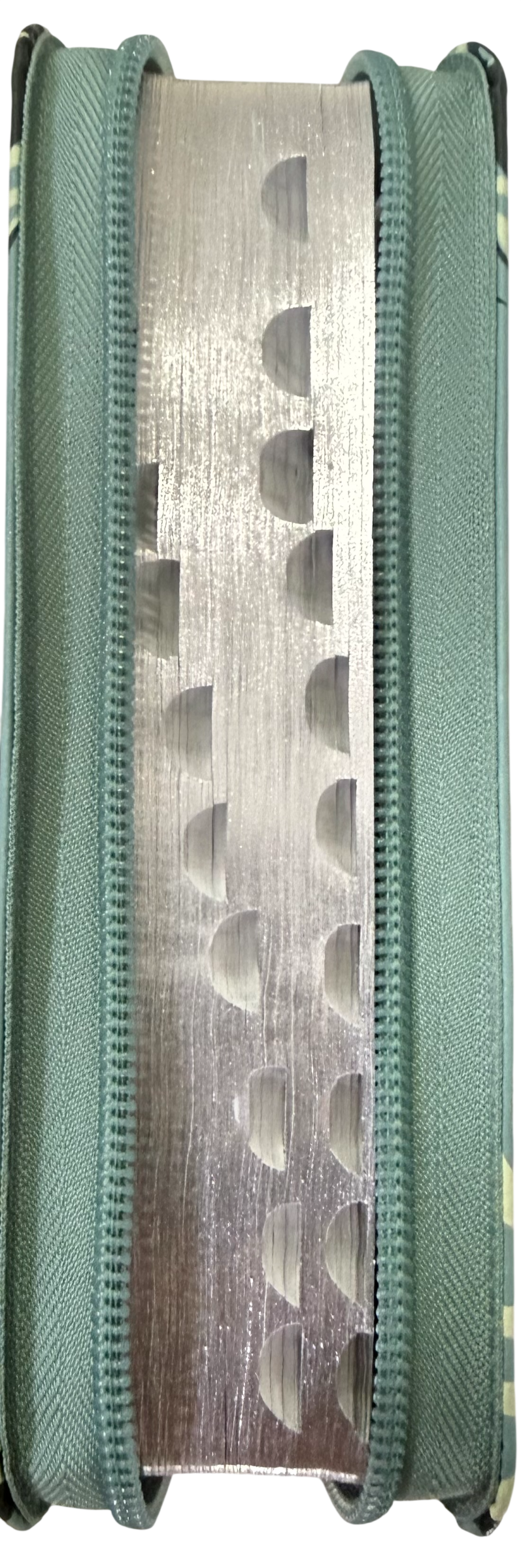 Biblia RVR60 Tipo Chequera Verde Menta/Flores/Indice