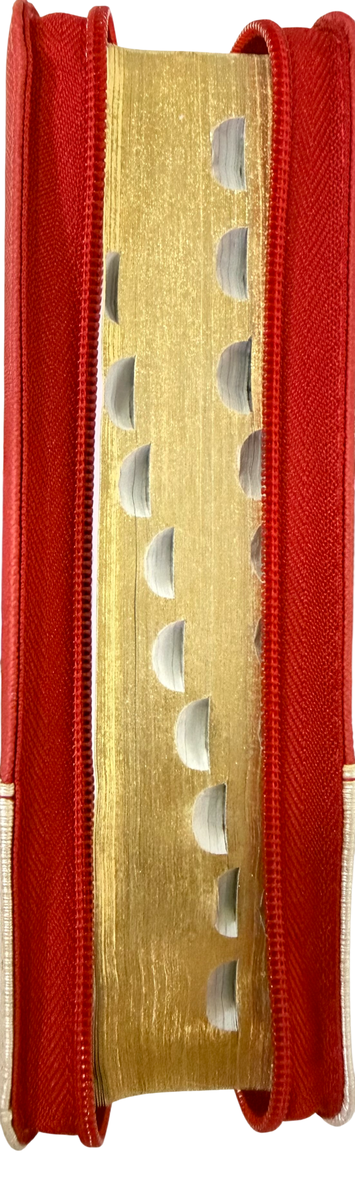 Biblia RVR 1960 Chequera /Bitono Roja - Beige/Indice