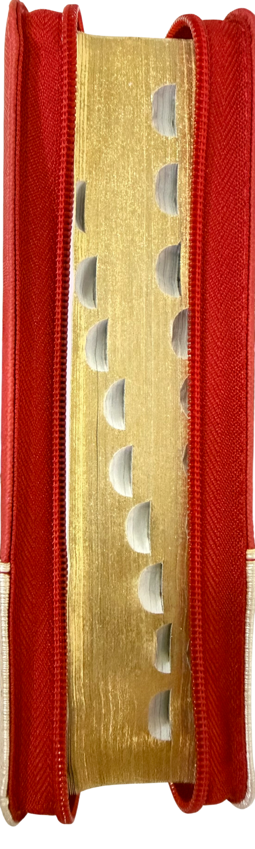 Biblia RVR 1960 Chequera /Bitono Roja - Beige/Indice