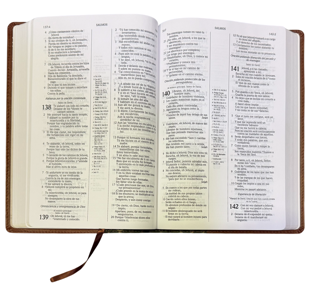 Biblia De Estudio Scofield Verde Oscuro Castaño