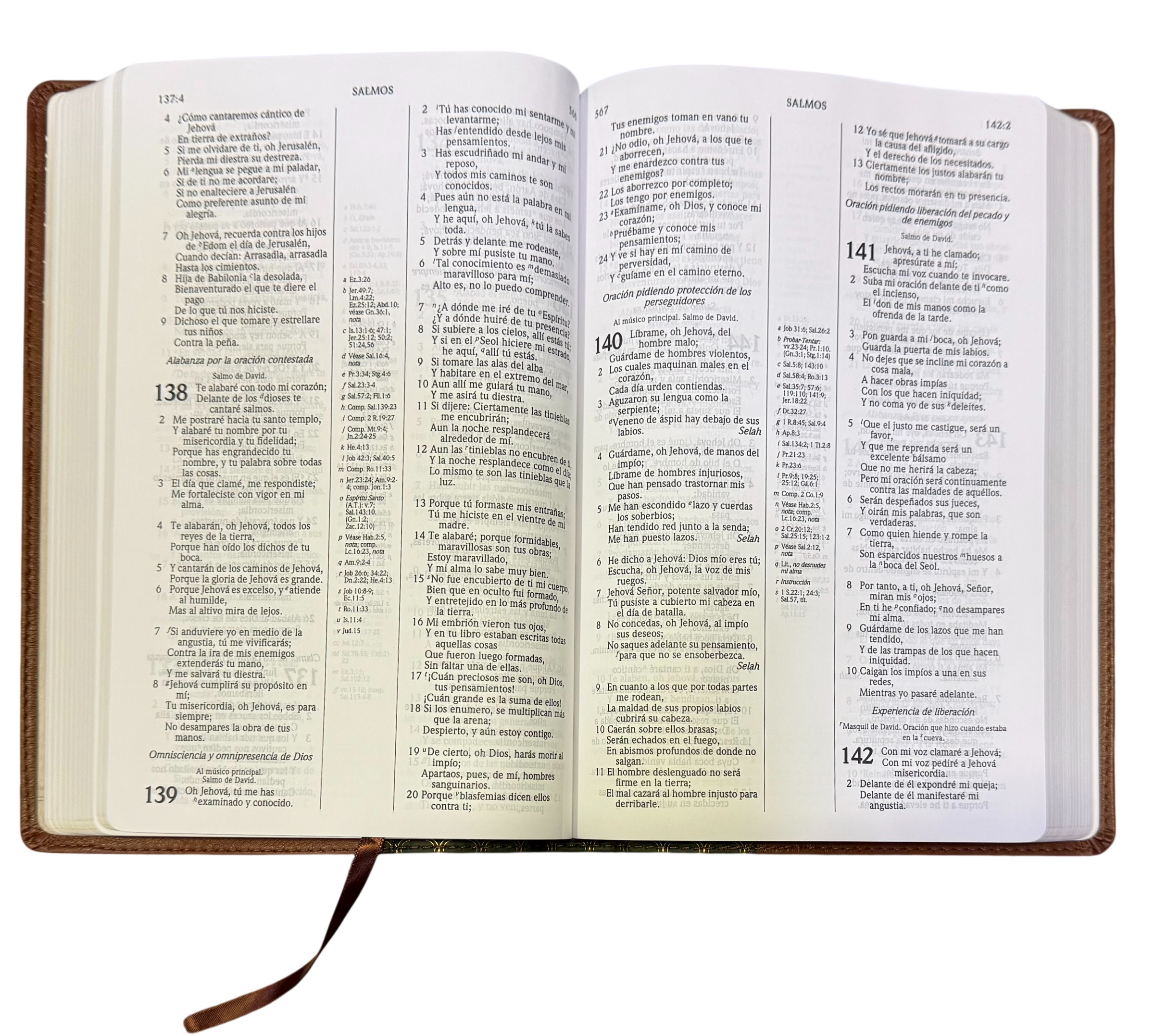 Biblia De Estudio Scofield Verde Oscuro Castaño