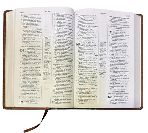 Biblia De Estudio Scofield Verde Oscuro Castaño