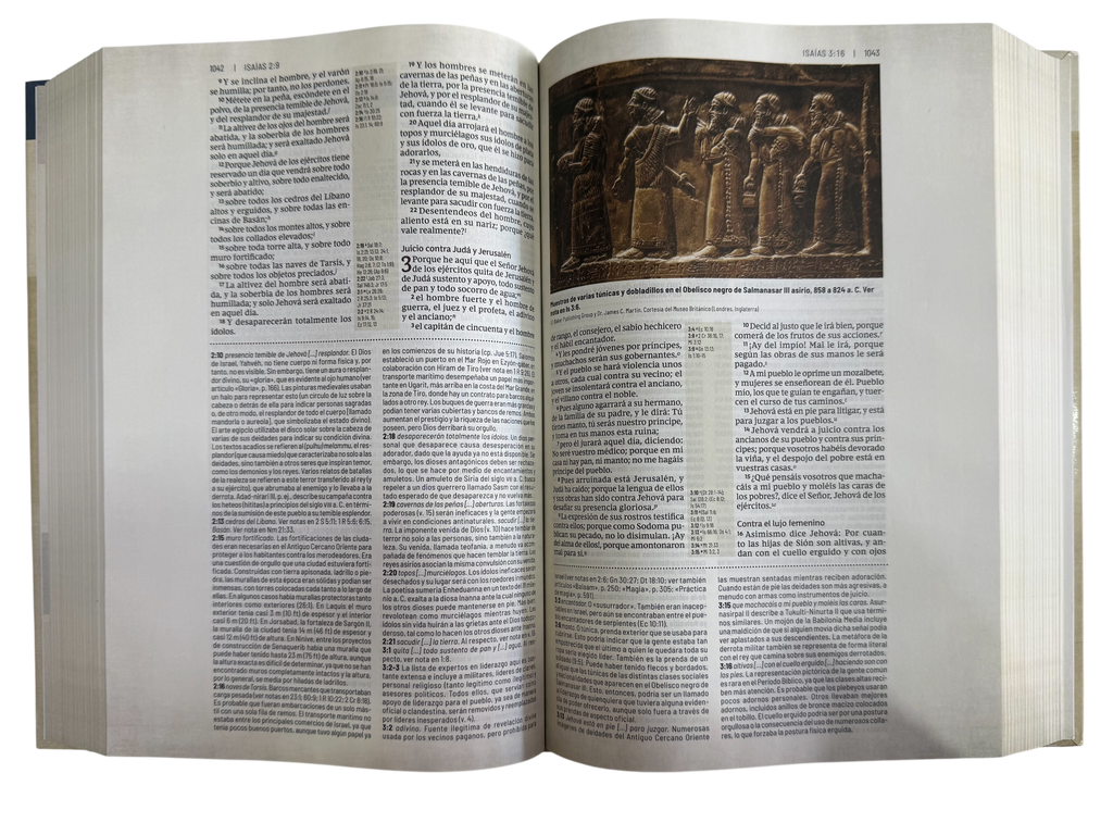 Biblia RVR Revisada De Estudio Trasfondo Cultural/ TD
