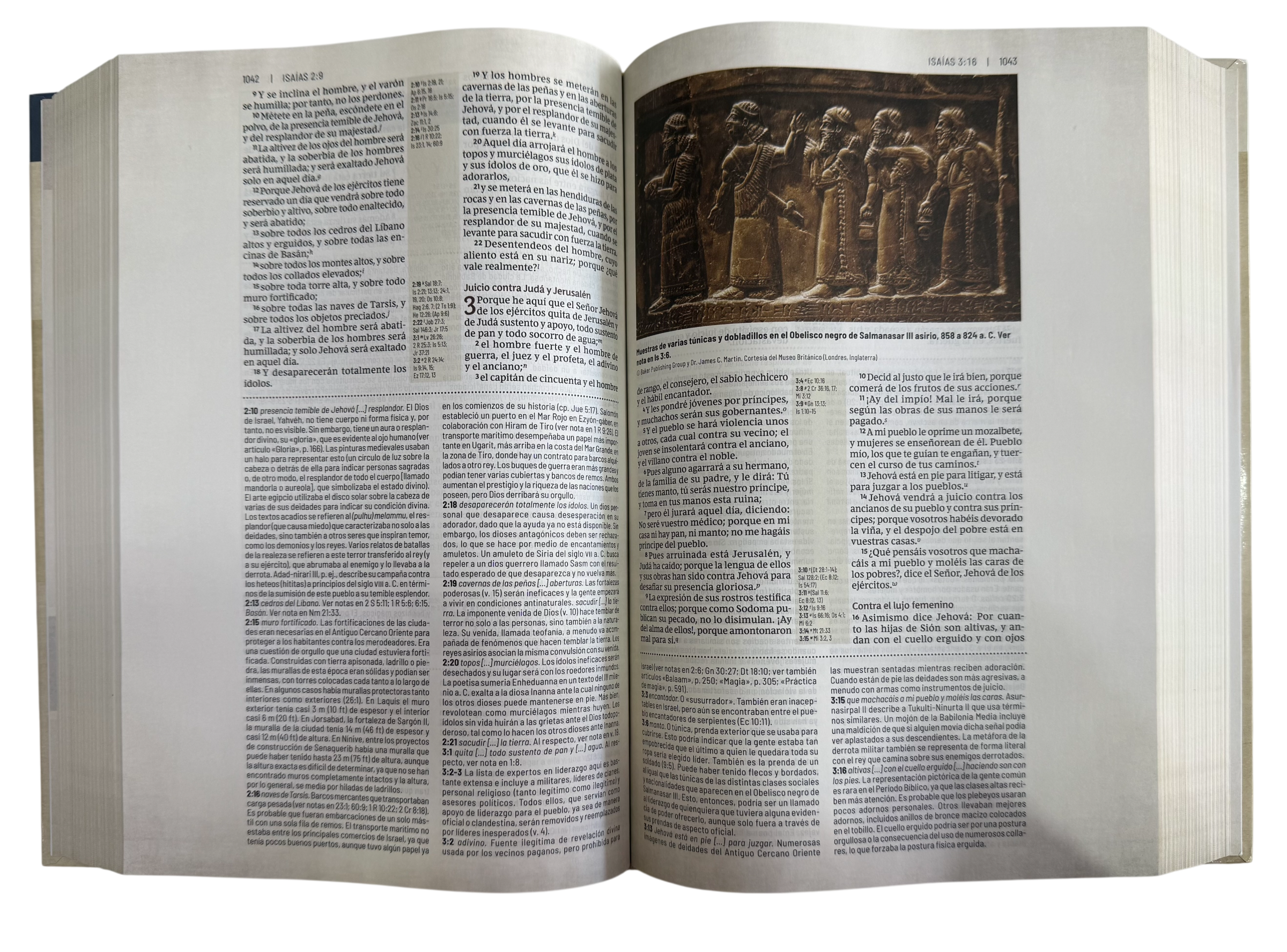 Biblia RVR Revisada De Estudio Trasfondo Cultural/ TD