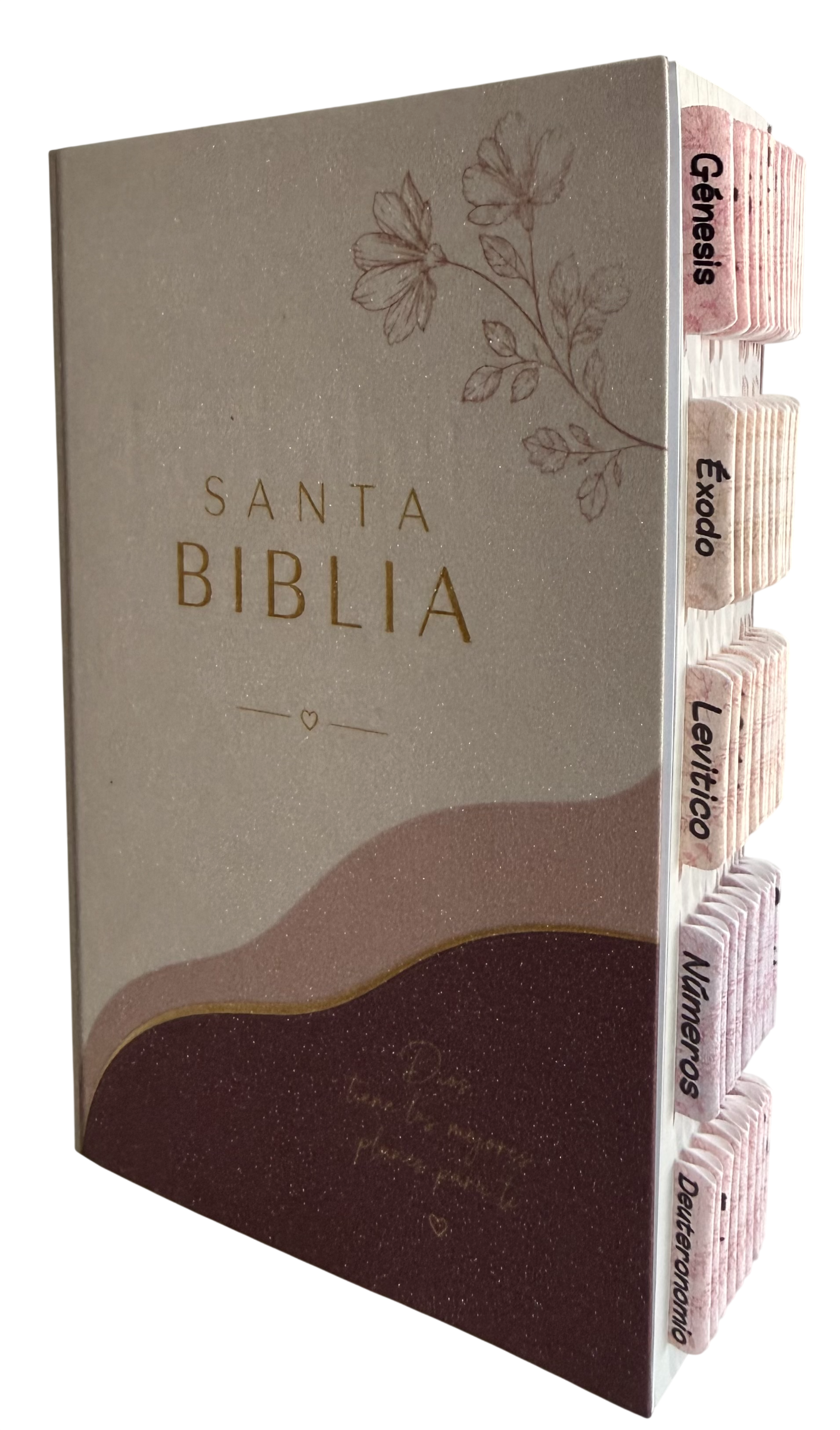 Biblia PDT Personalizadas/ Escarchadas