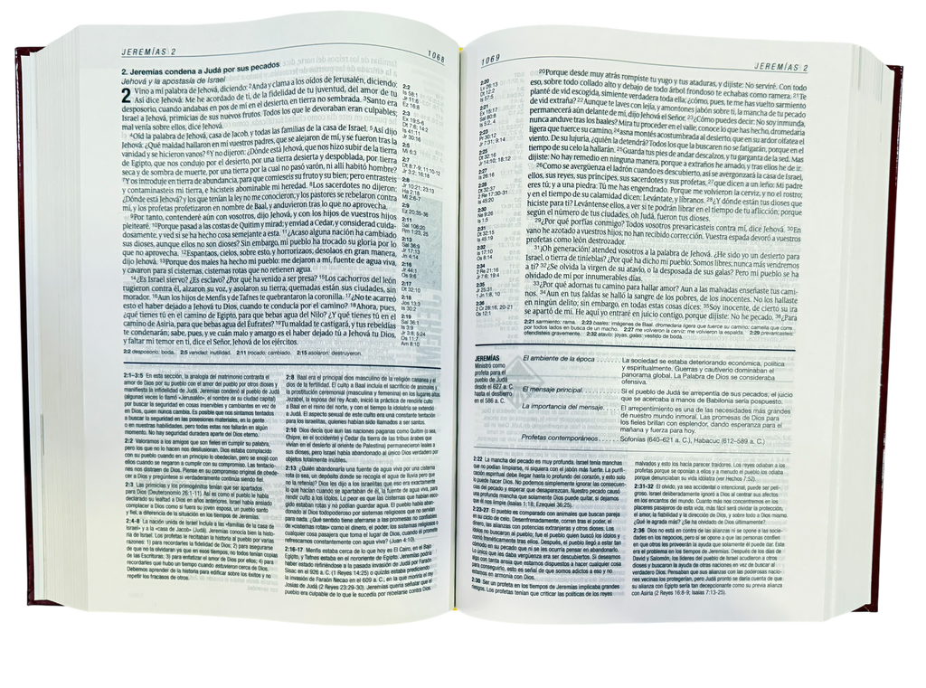 Biblia De Estudio Diario Vivir Nueva Edición