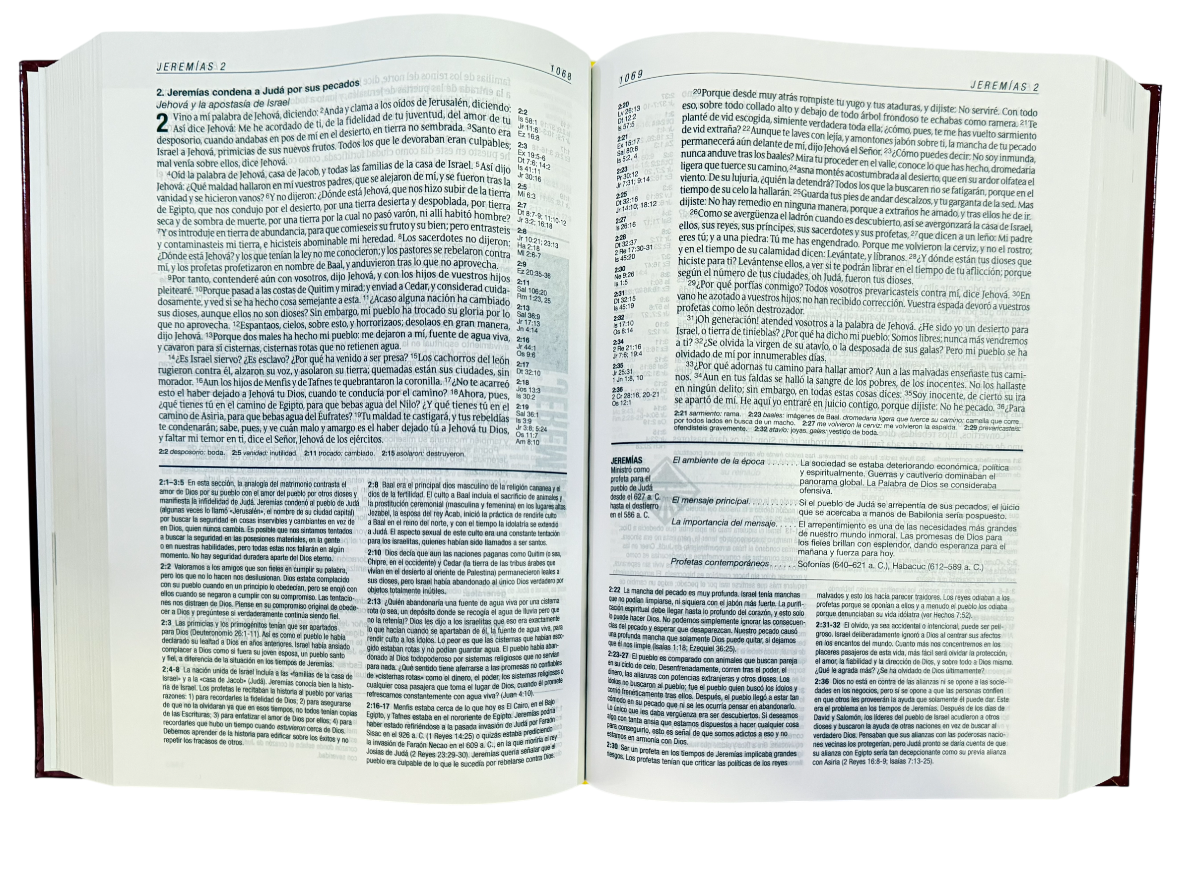 Biblia De Estudio Diario Vivir Nueva Edición