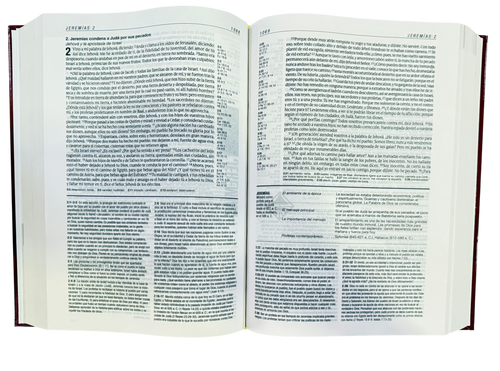 Biblia De Estudio Diario Vivir Nueva Edición