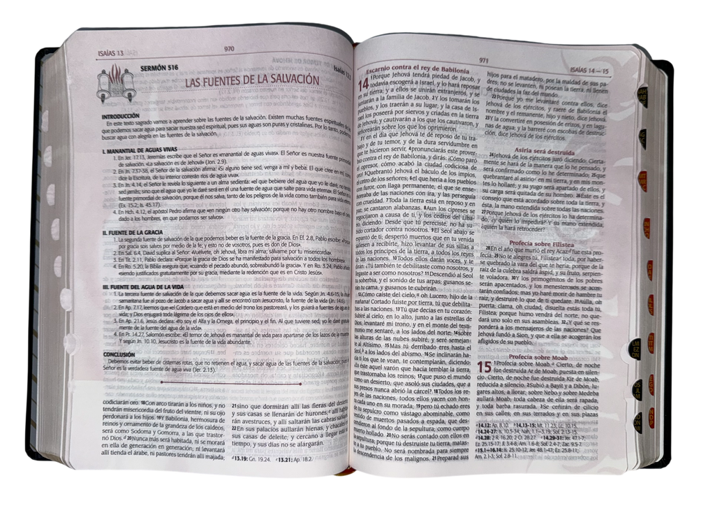 Biblia De La predicacion Avivamiento/Negra/Indice