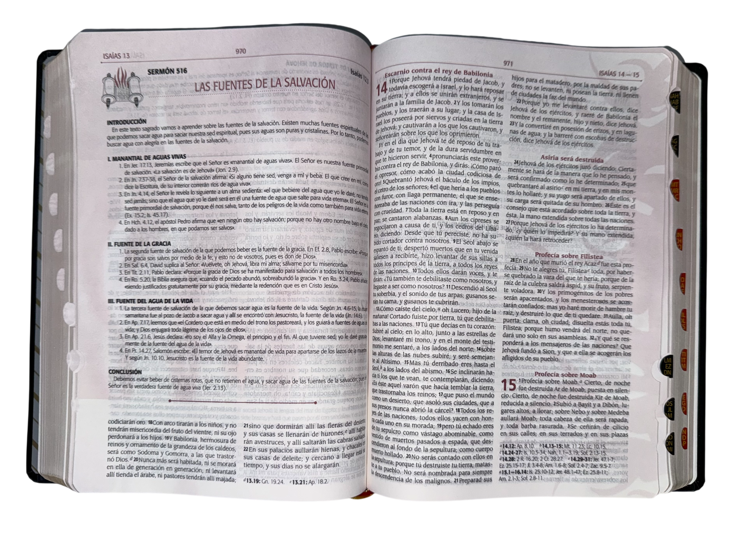 Biblia De La predicacion Avivamiento/Negra/Indice