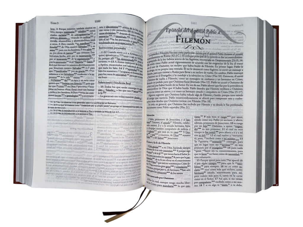 Biblia De Estudio Palabra Clave Marrón Con diccionarios hebreo y griego