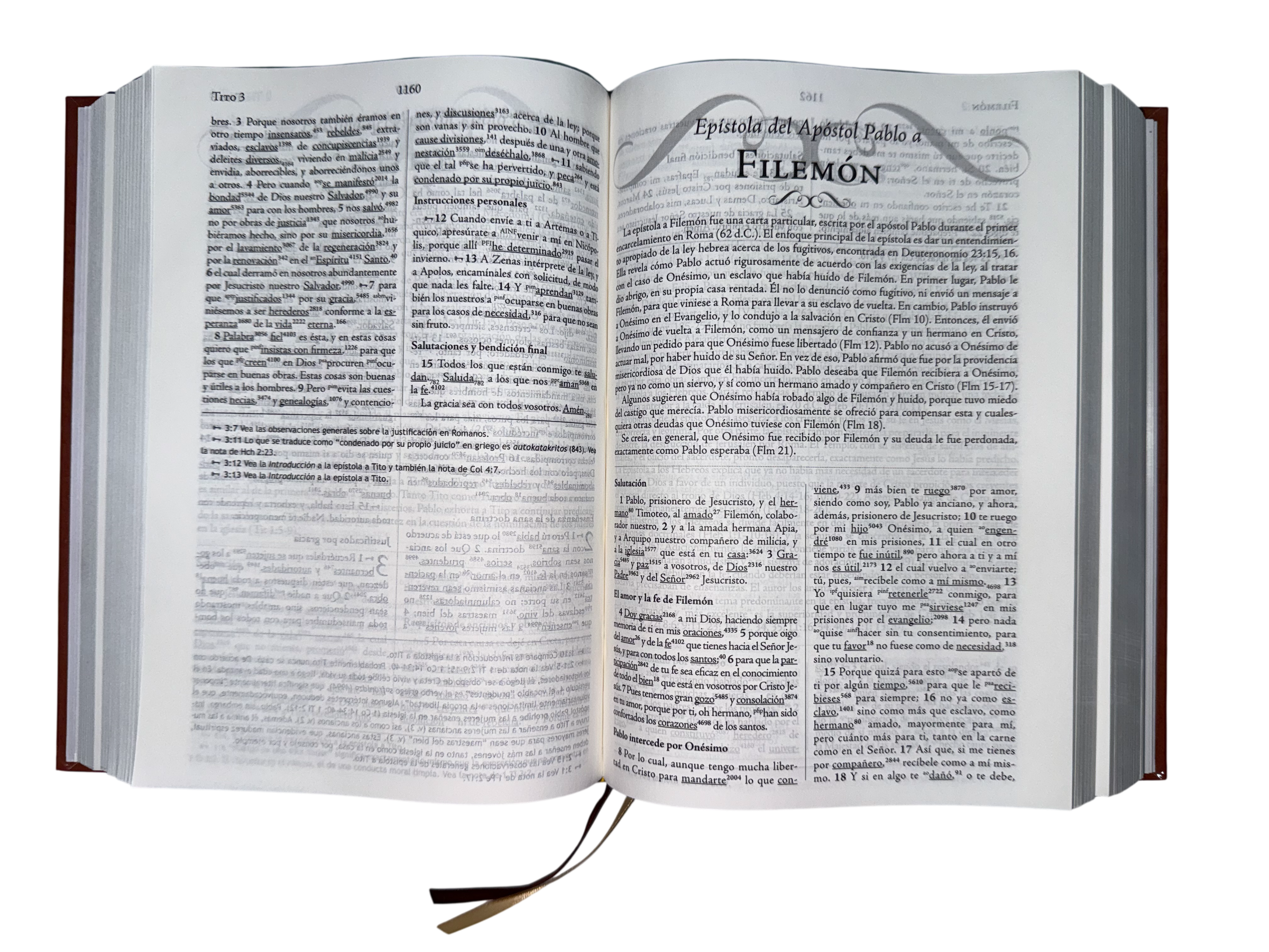 Biblia De Estudio Palabra Clave Marrón Con diccionarios hebreo y griego