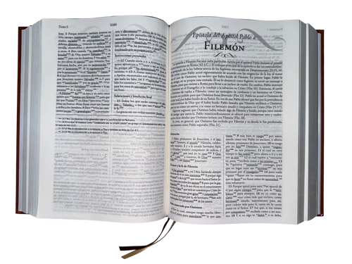 Biblia De Estudio Palabra Clave Marrón Con diccionarios hebreo y griego