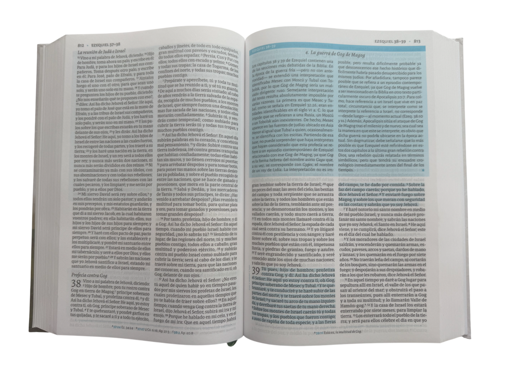 Biblia De Estudio De Cesar Vidal/ TD