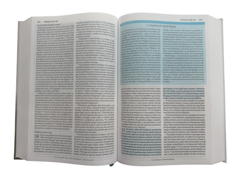 Biblia De Estudio De Cesar Vidal/ TD