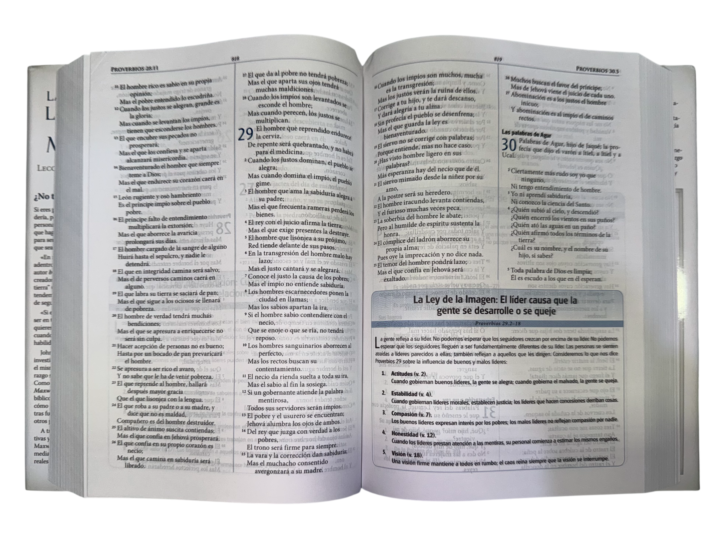 Biblia De Liderazgo De Maxwell
