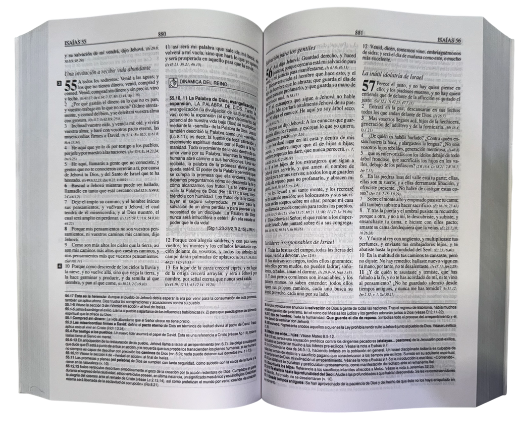Biblia plenitud rustica manual