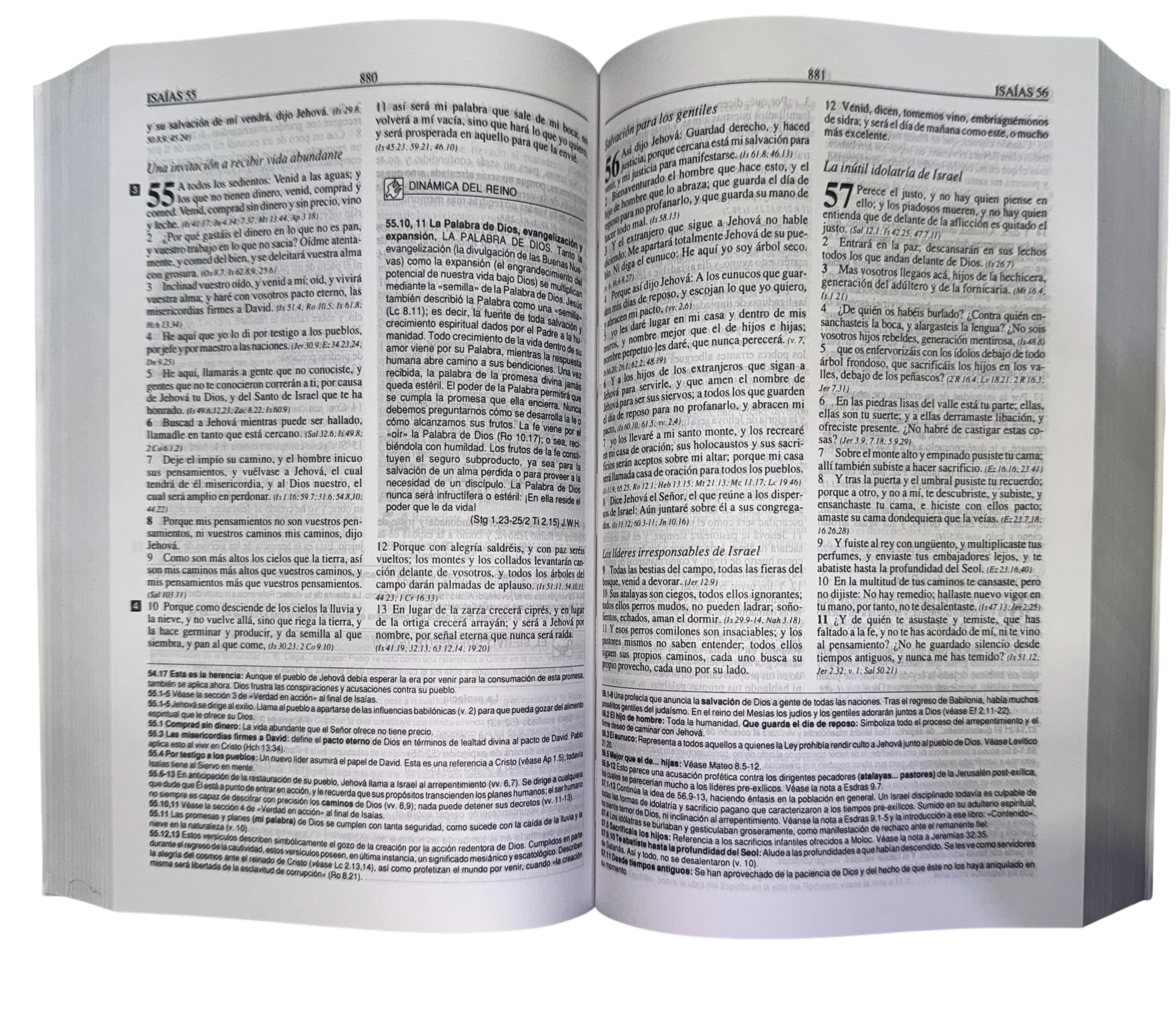 Biblia plenitud rustica manual